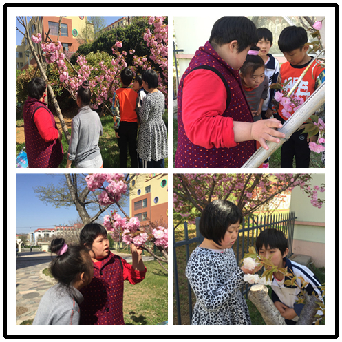 201705050853130358.jpg 201705050853130358.jpg