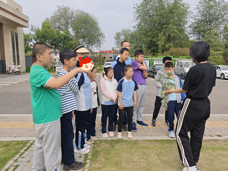 IMG_20250529_081906_副本.jpg IMG_20250529_081906_副本.jpg